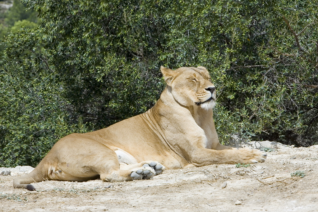 _mg_9265.jpg