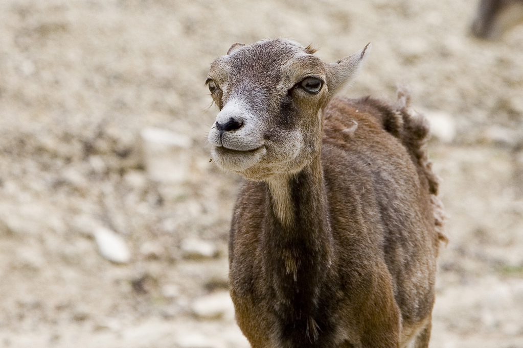 _mg_9463.jpg