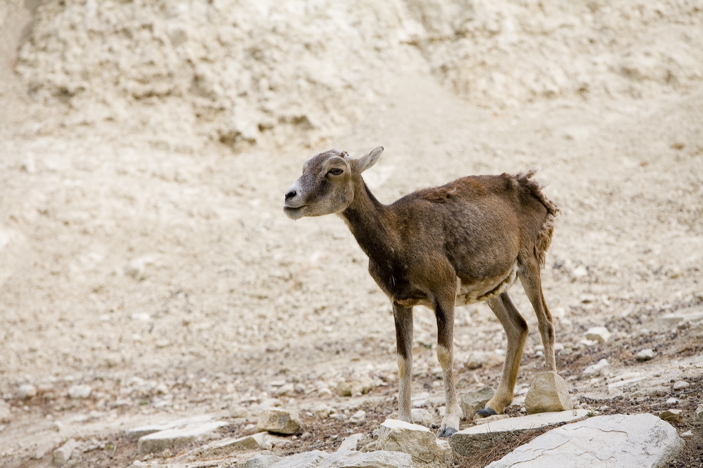 _mg_9464.jpg