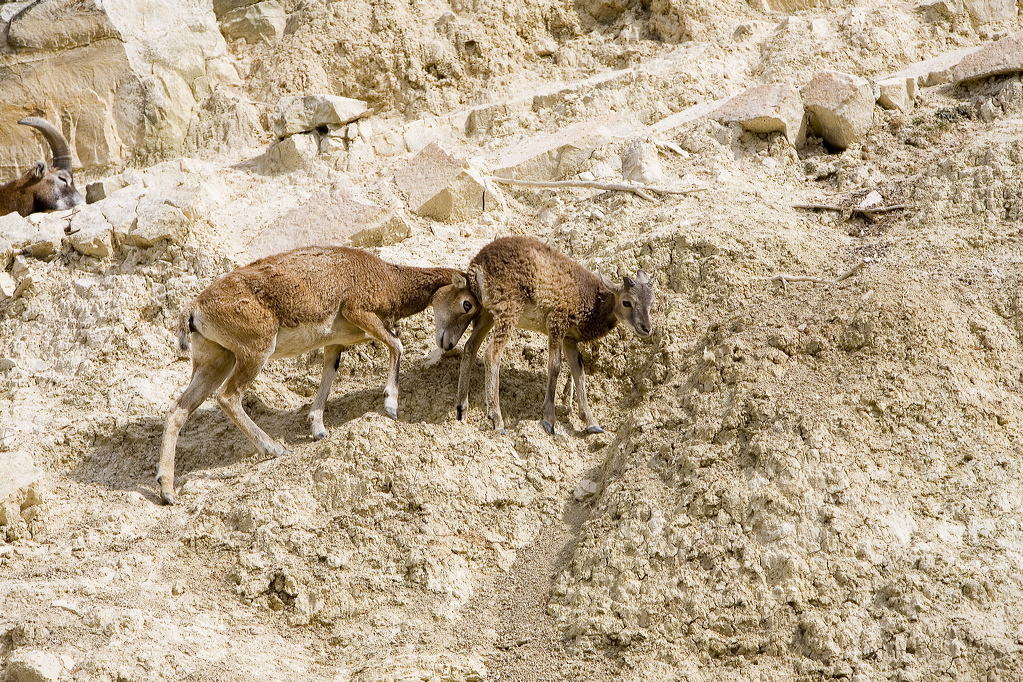 _mg_9465.jpg