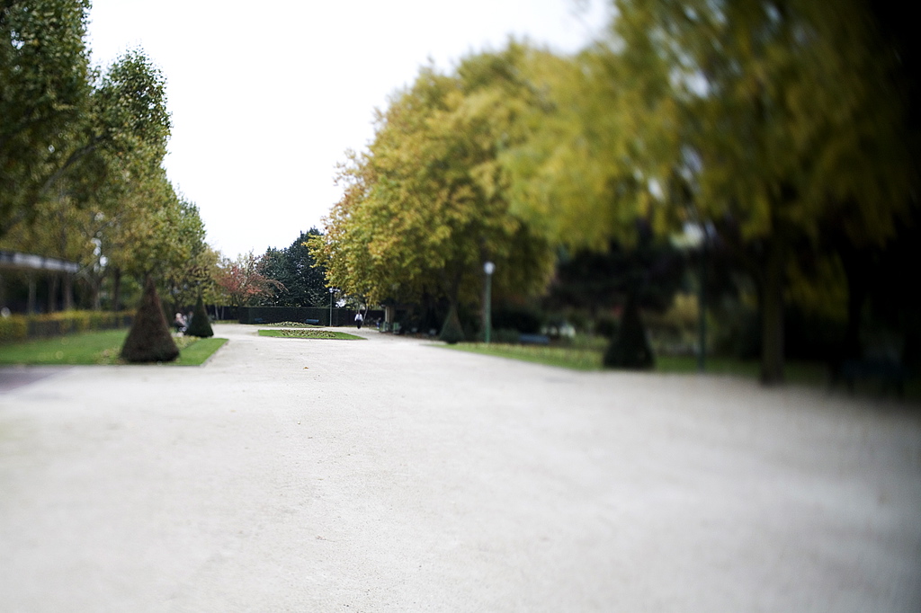 _mg_1605.jpg